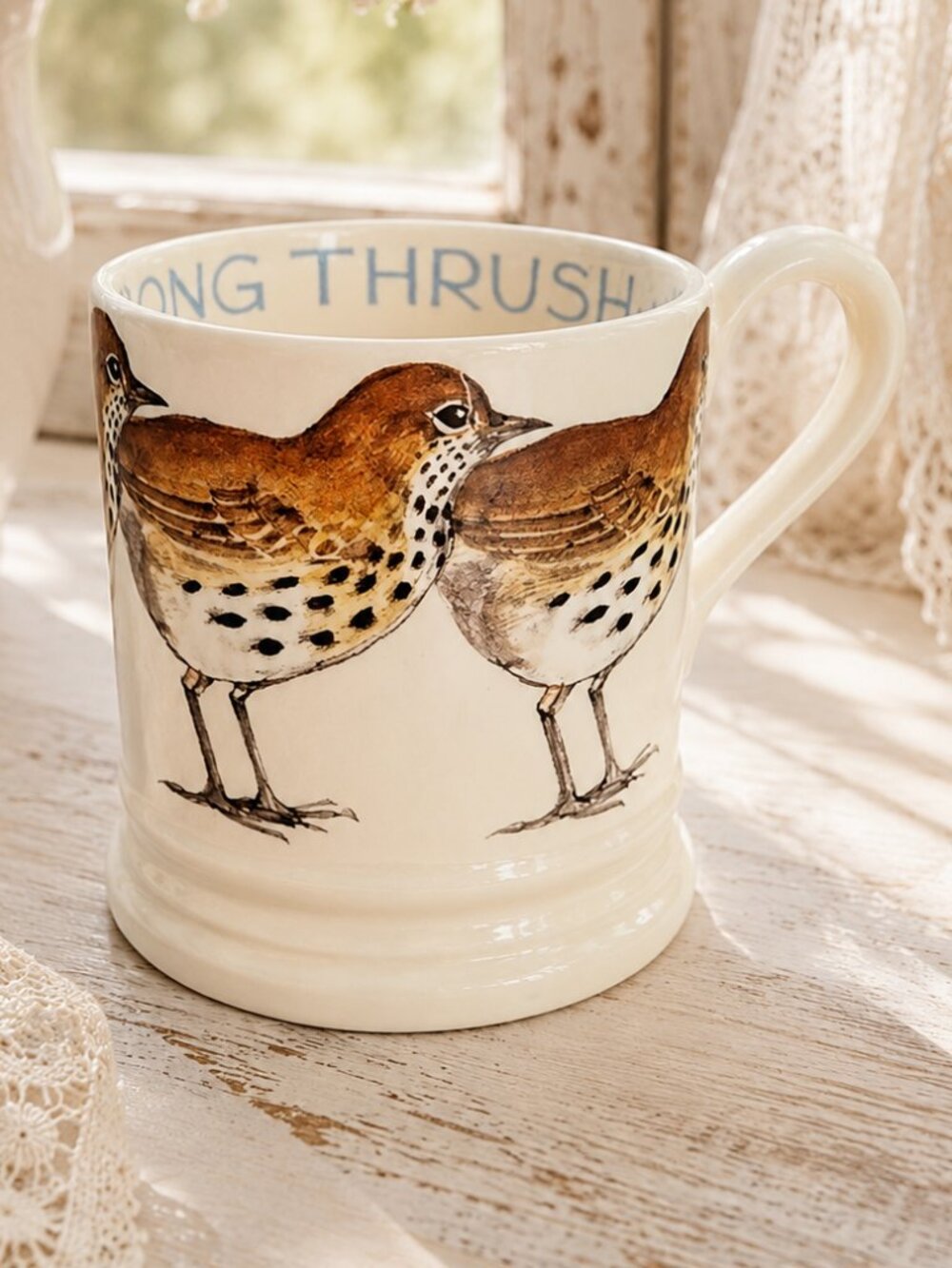 Rare Vintage Early Emma Bridgewater Song Thrush Bird Half Pint Mug